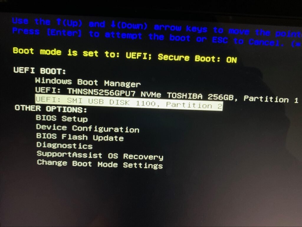 secure boot disk partition