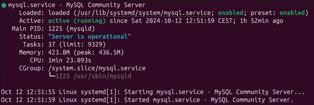 MySQL status